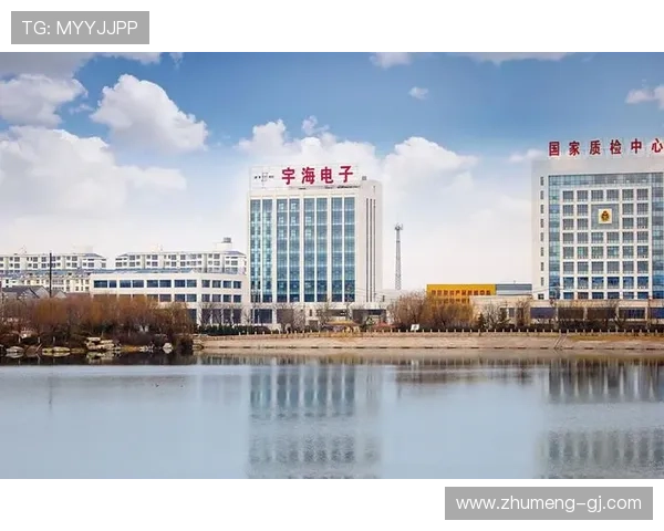 深入了解利来w66平台的安全性与用户体验优势